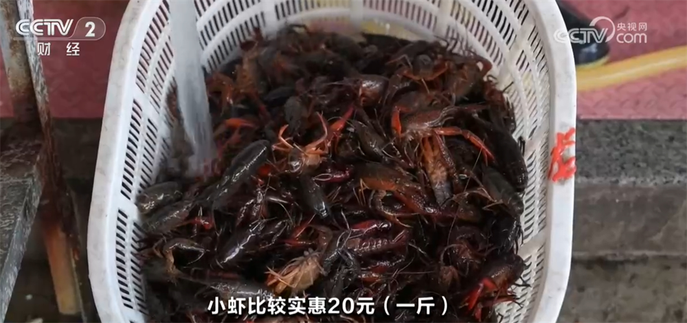 动消费 “舌尖经济”热度攀升释放新活力冰球突破豪华版“春天的味道”唤醒味蕾带(图3)
