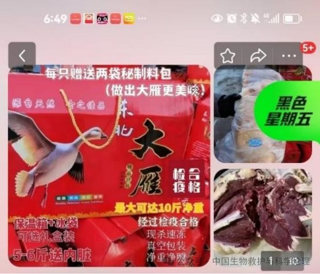 有请下架野生动物买卖｜志愿者反映冰球突破