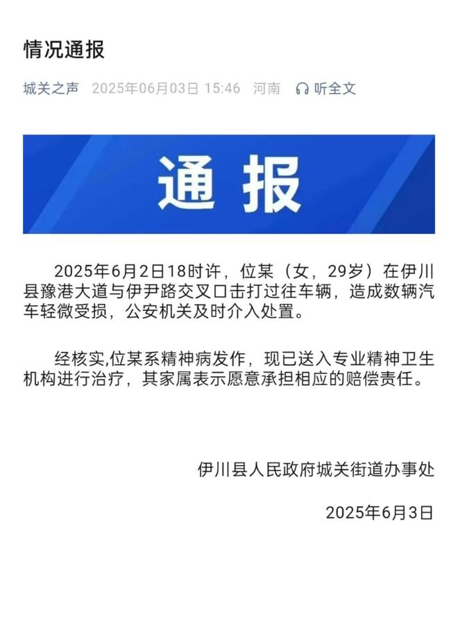 通报：系精神病发作家属愿意承担赔偿冰球突破女子持械当街打砸多辆轿车(图2)