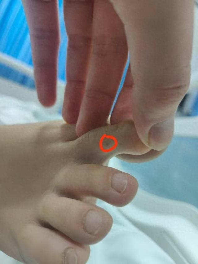 直播回应质疑：没提任何索赔只希望调查清楚冰球突破豪华版app三亚身亡女游客堂姐